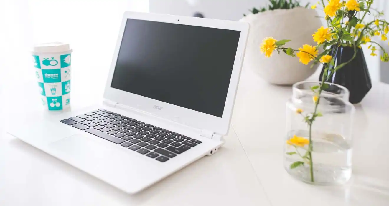 Ремонт ноутбуков Acer в Ульяновске