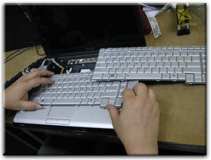Ремонт клавиатуры на ноутбуке Toshiba в Ульяновске